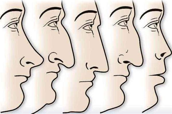 解析代表富贵的鼻相特征 五种代表富贵的鼻相